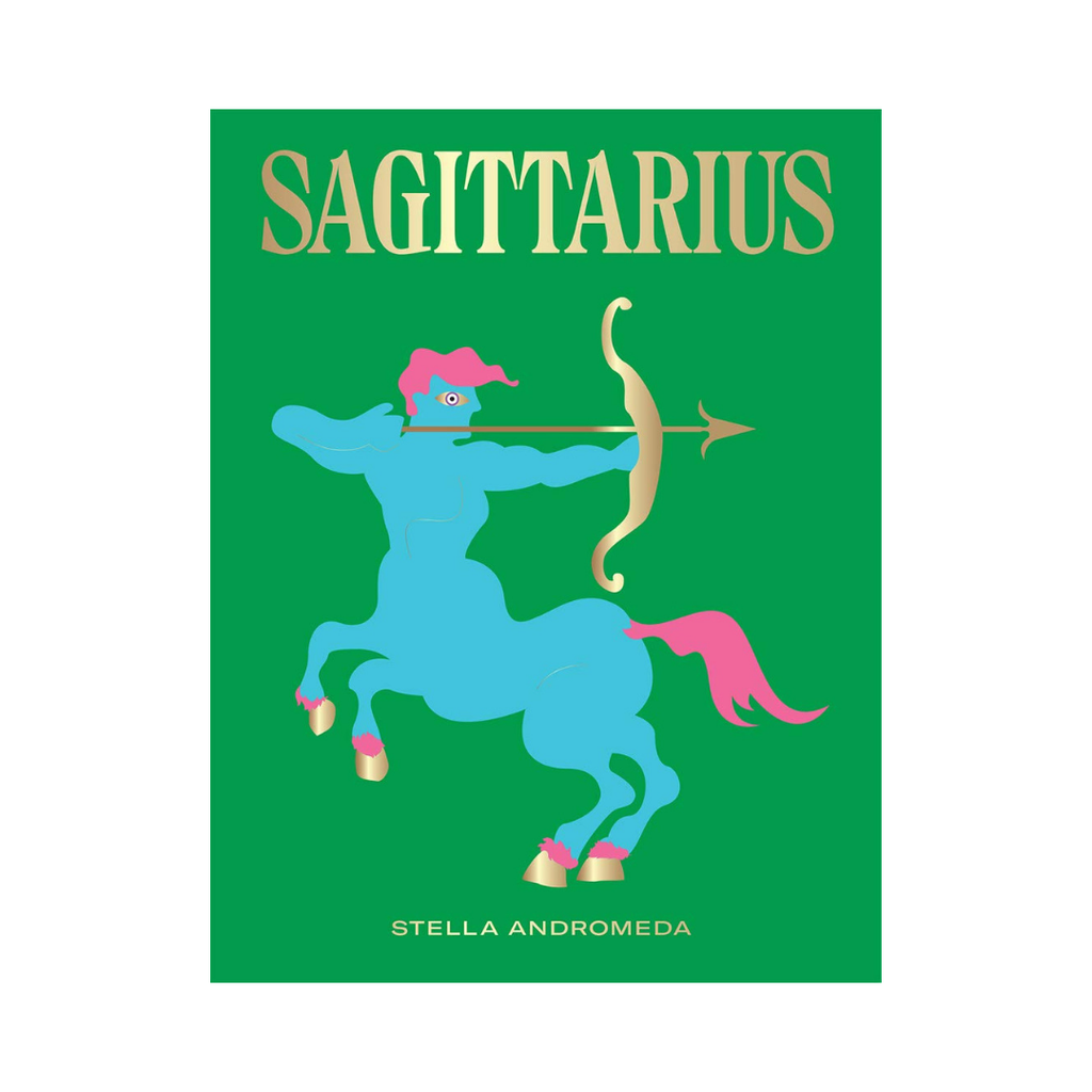 Seeing Stars // Sagittarius Zodiac Book | Books