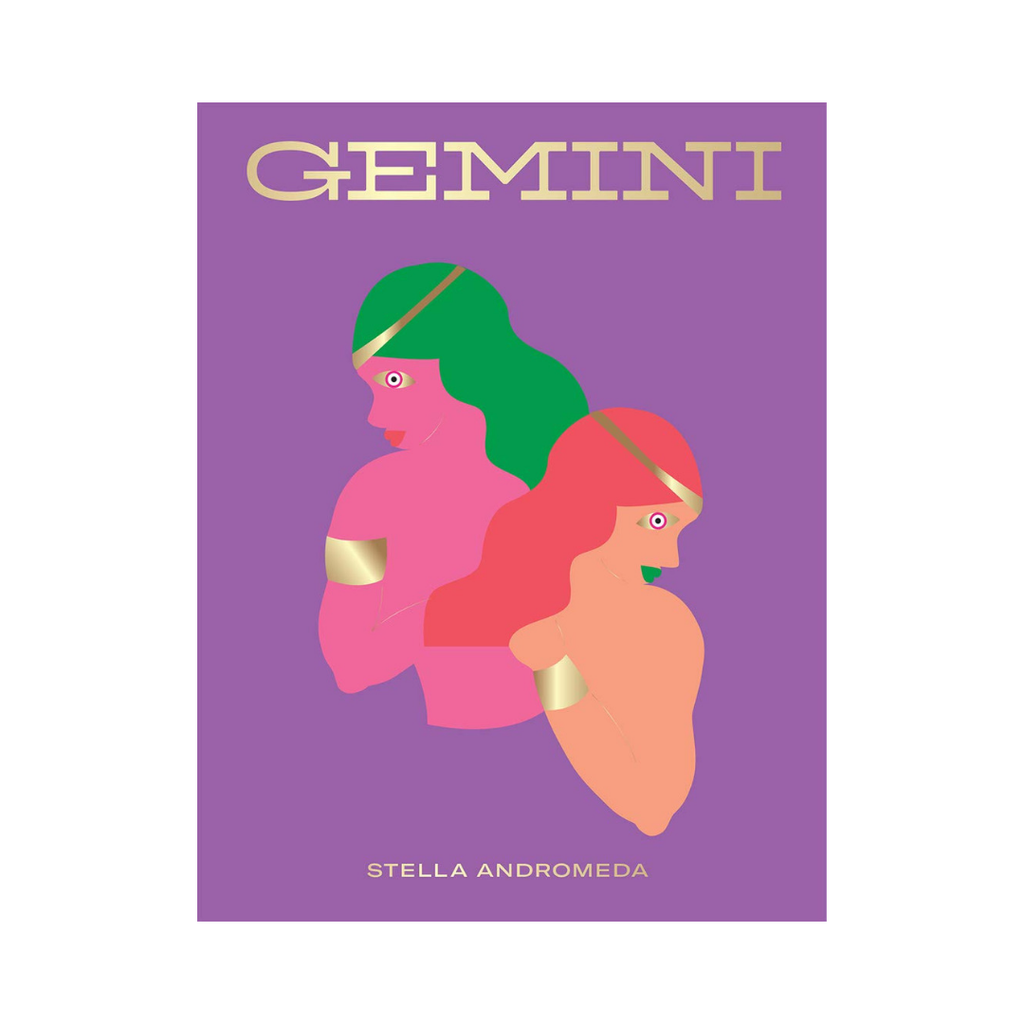 Seeing Stars // Gemini Zodiac Book | Books