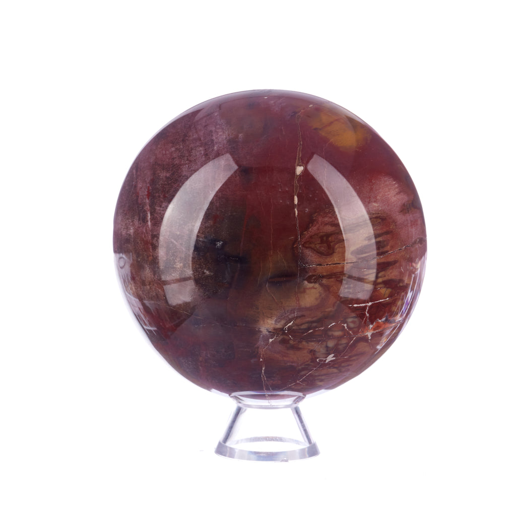 Petrified Wood Sphere | Crystals
