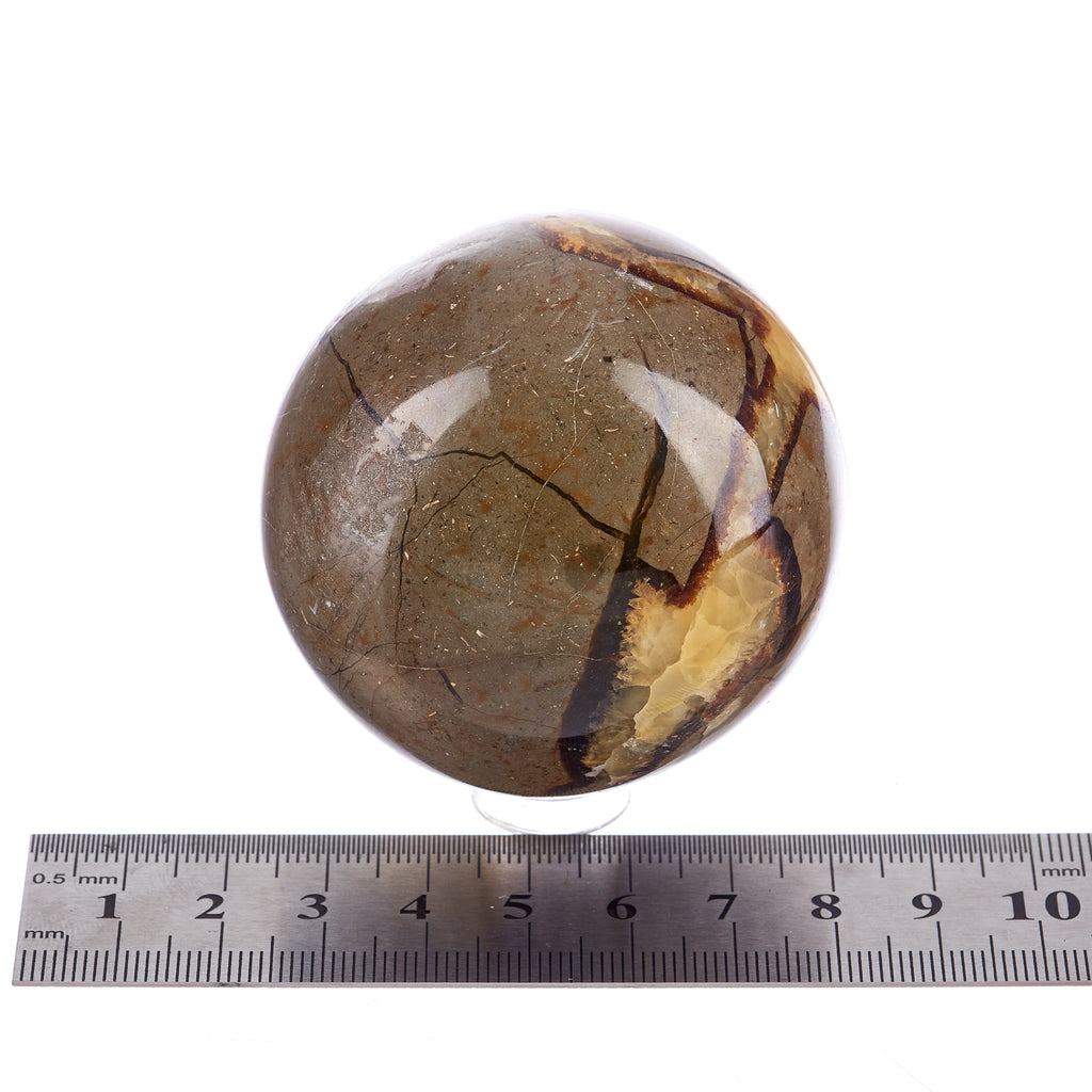Septarian Sphere #1 | Crystals
