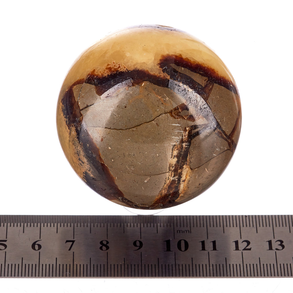 Septarian Sphere #5 | Crystals