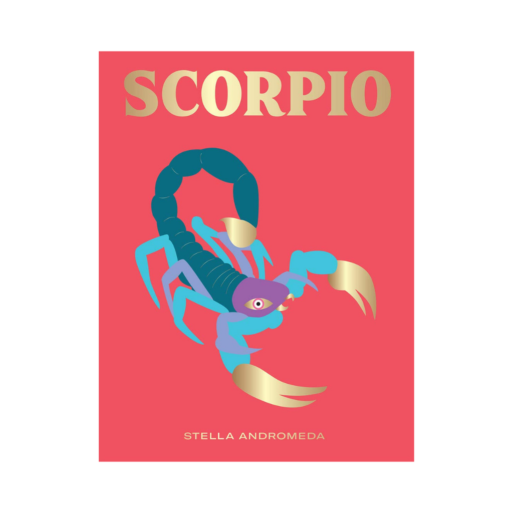 Seeing Stars // Scorpio Zodiac Book | Books