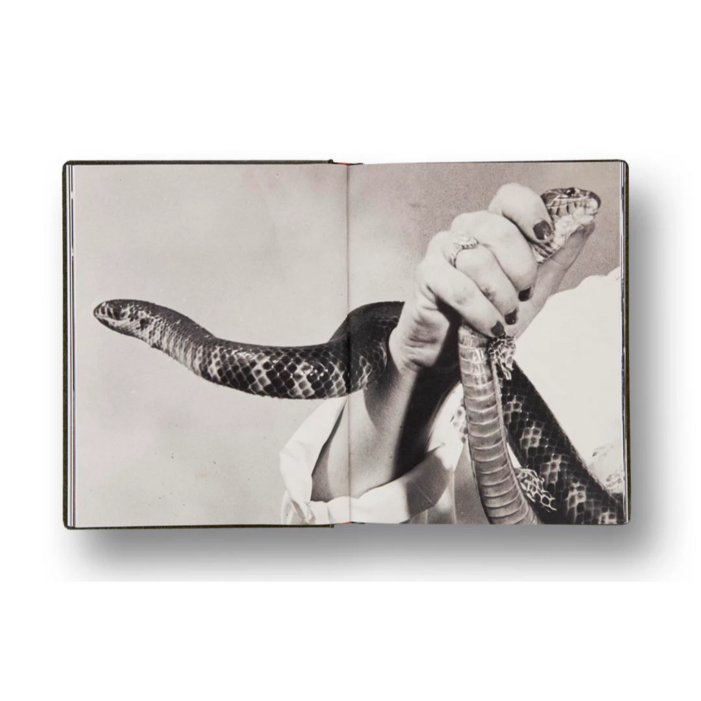 Girl Plays With Snake