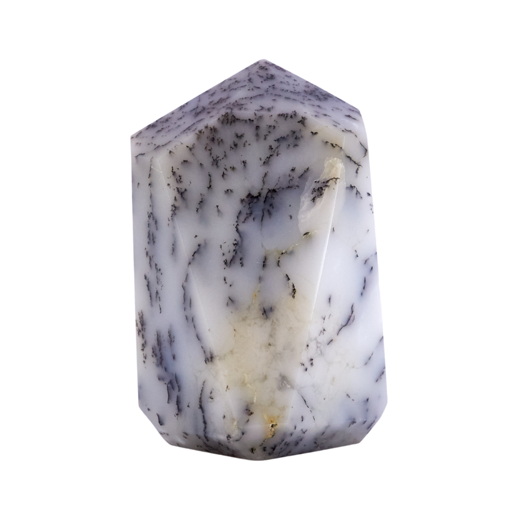 Dendritic Agate Point #12