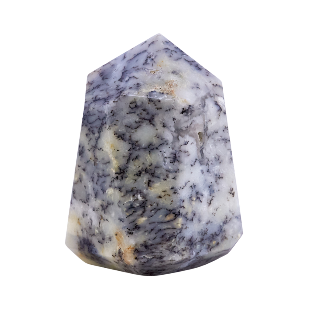 Dendritic Agate Point #13