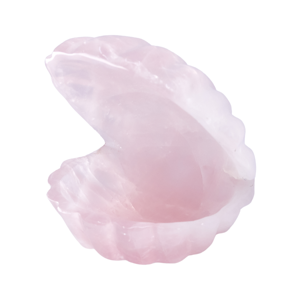 Rose Quartz Shell | Our Satellite Hearts