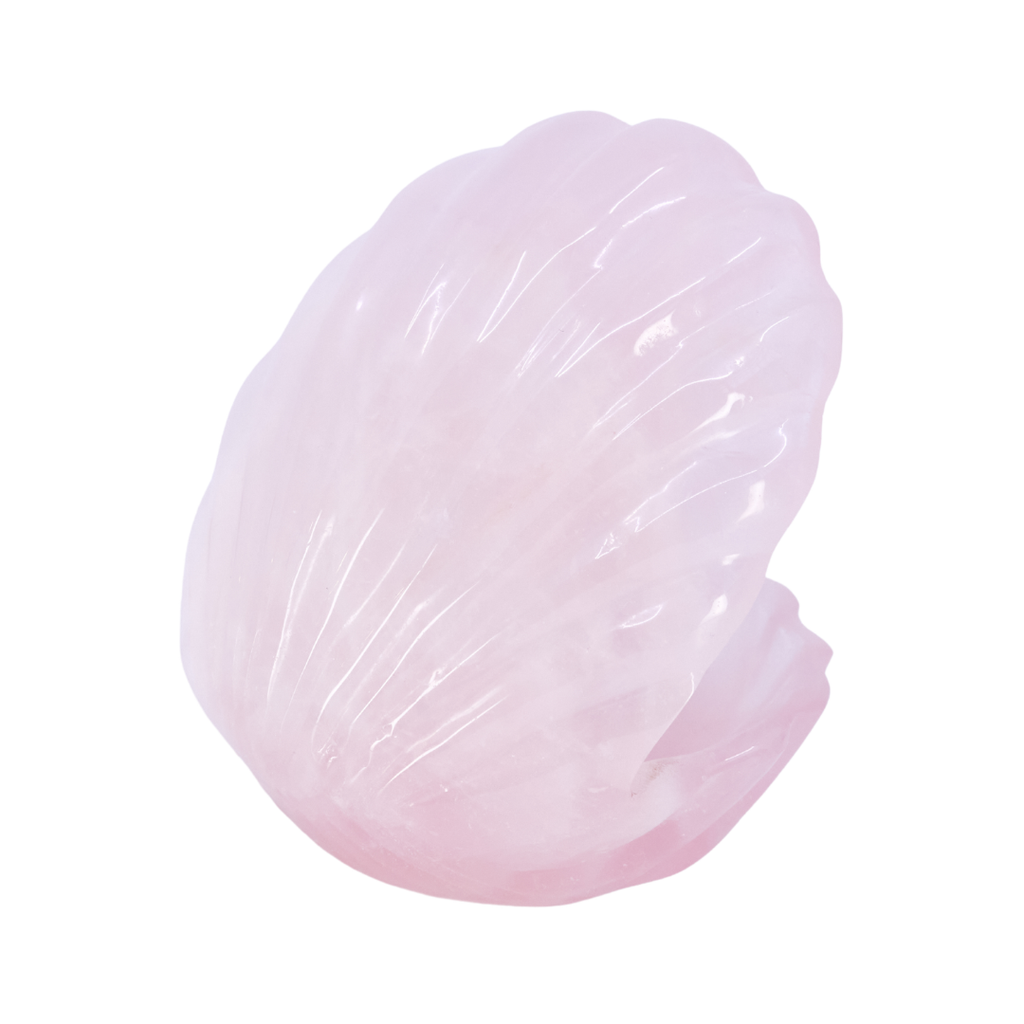 Rose Quartz Shell | Our Satellite Hearts