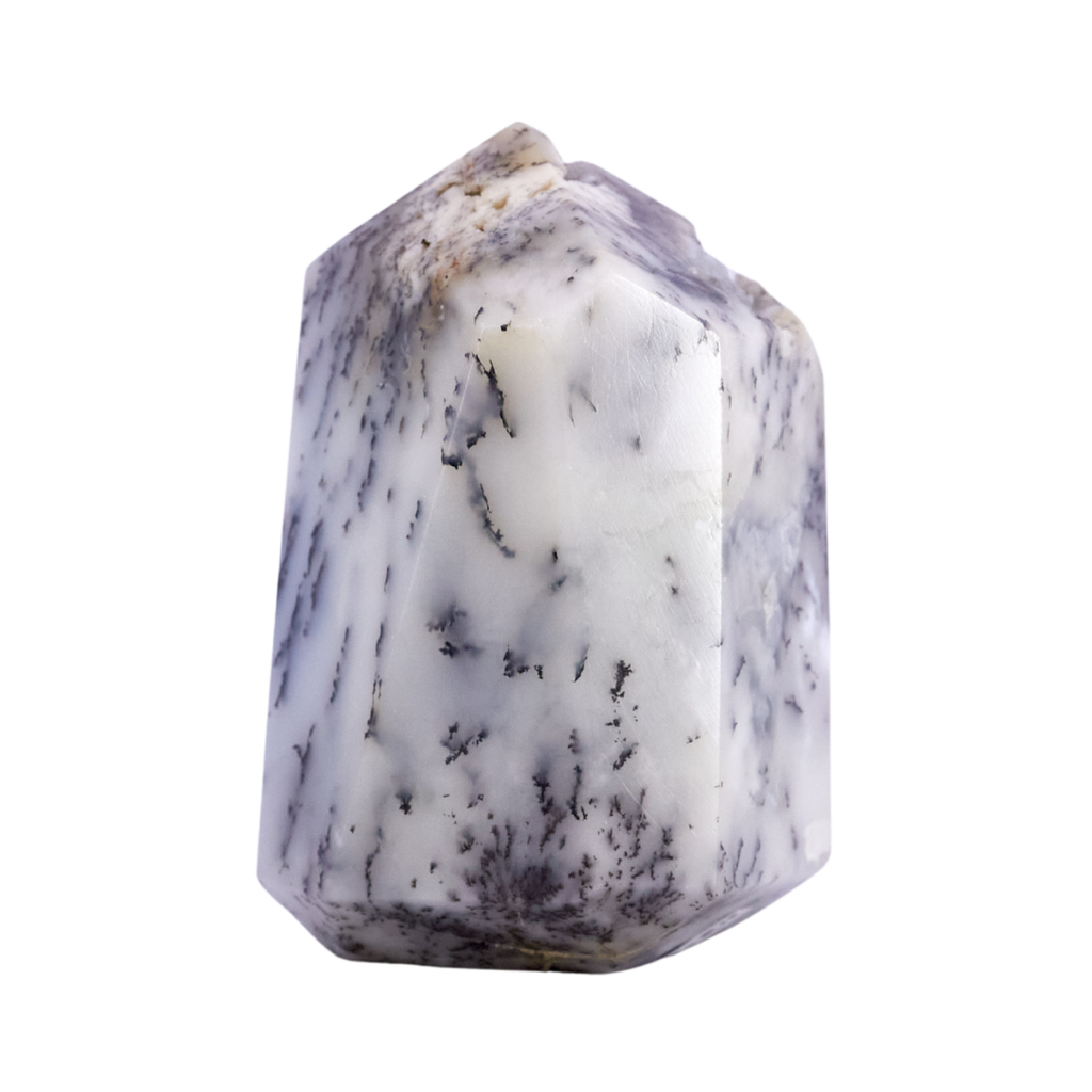 Dendritic Agate Point #4