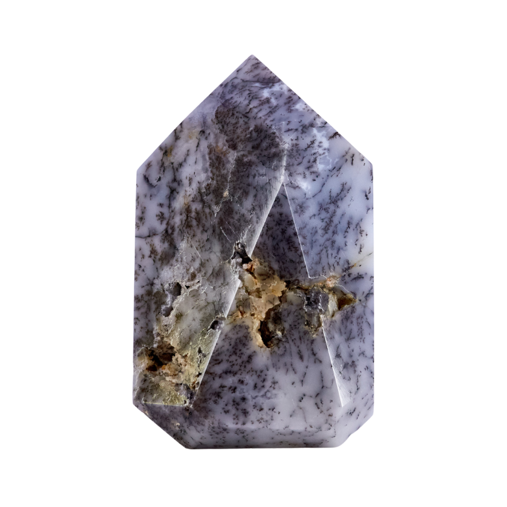 Dendritic Agate Point #5