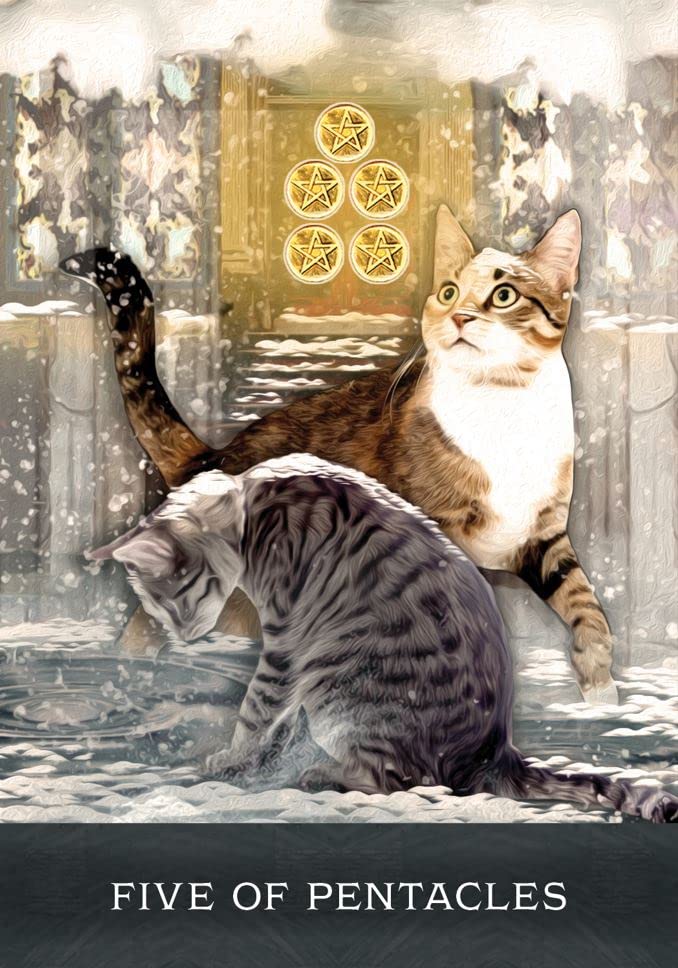 The Grimalkin's Curious Cats Tarot: An 80-Card Deck and Guidebook