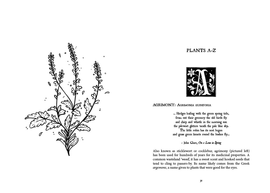 Folk Magic and Healing: An Unusual History of Everyday Plant