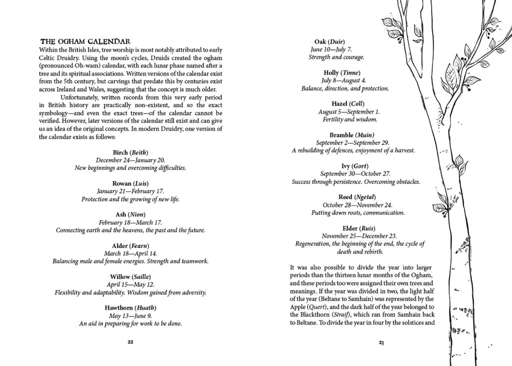 Folk Magic and Healing: An Unusual History of Everyday Plant