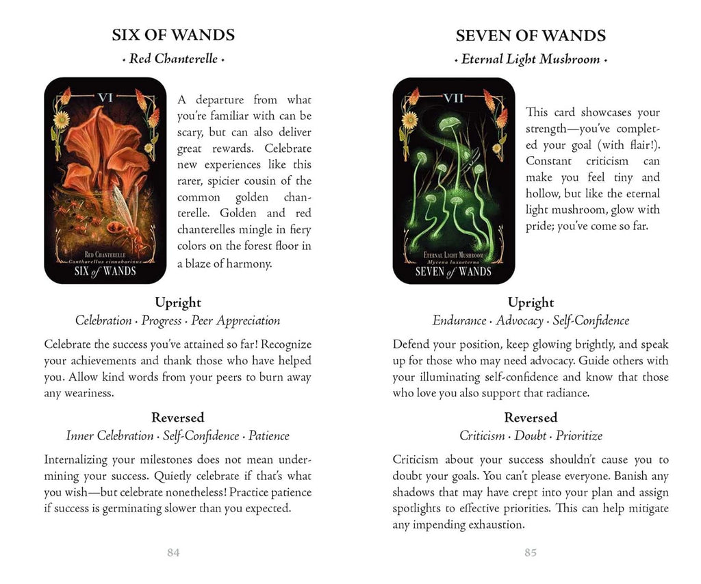 Midnight Magic: A Tarot Deck of Mushrooms