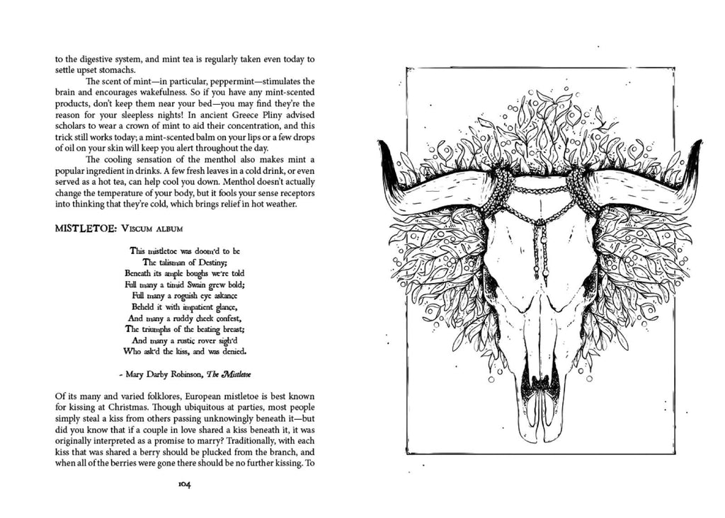 Folk Magic and Healing: An Unusual History of Everyday Plant