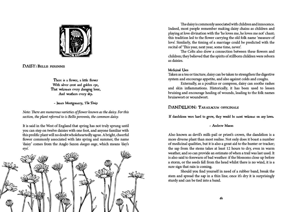 Folk Magic and Healing: An Unusual History of Everyday Plant