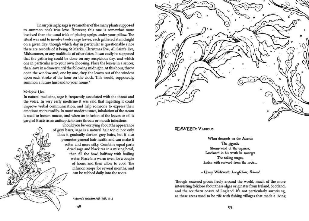 Folk Magic and Healing: An Unusual History of Everyday Plant