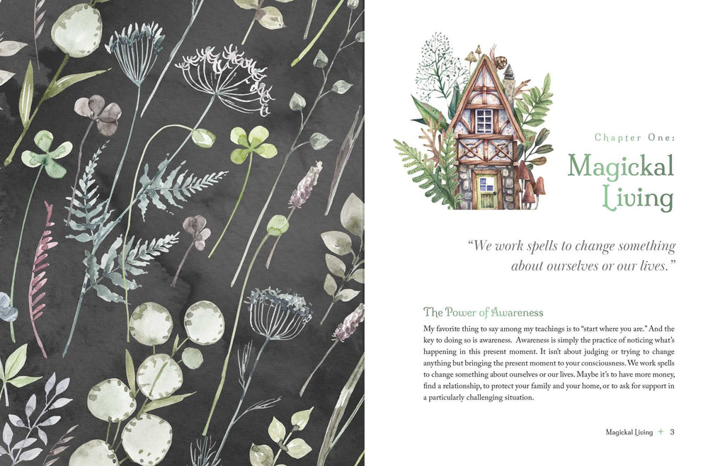 Witch's Apothecary: How to Make Magical Potions Around the Wheel of the Year