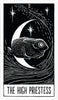 The Star String Tarot
