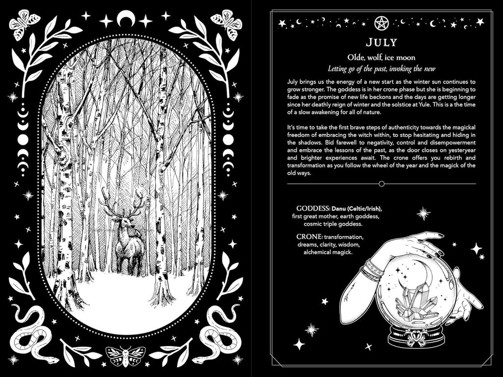 2026 Witch's Diary: Southern Hemisphere