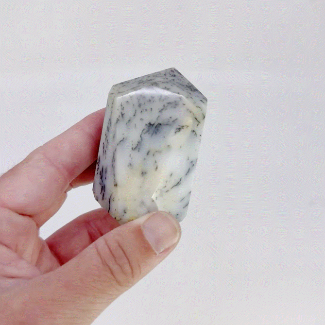 Dendritic Agate Point #12