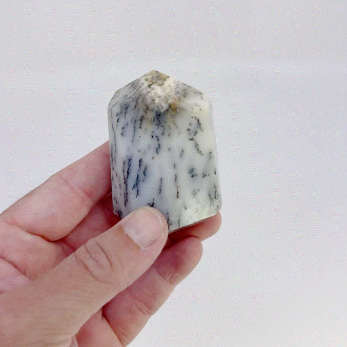 Dendritic Agate Point #4