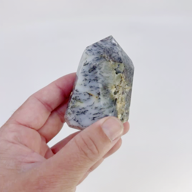 Dendritic Agate Point #5