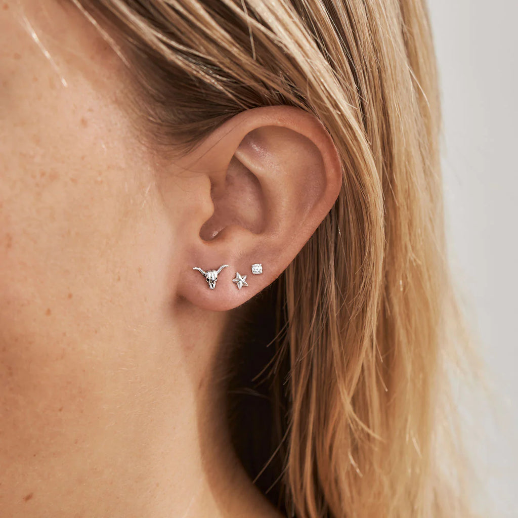 Midsummer Star // Rodeo Skull Studs