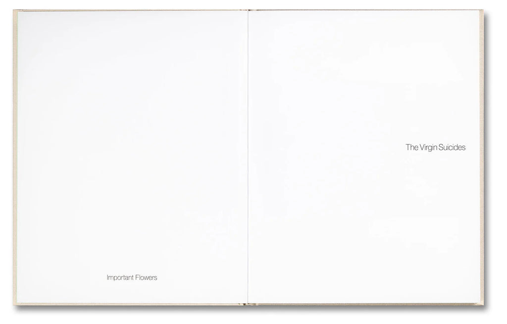 The Virgin Suicides by Sophia Coppola