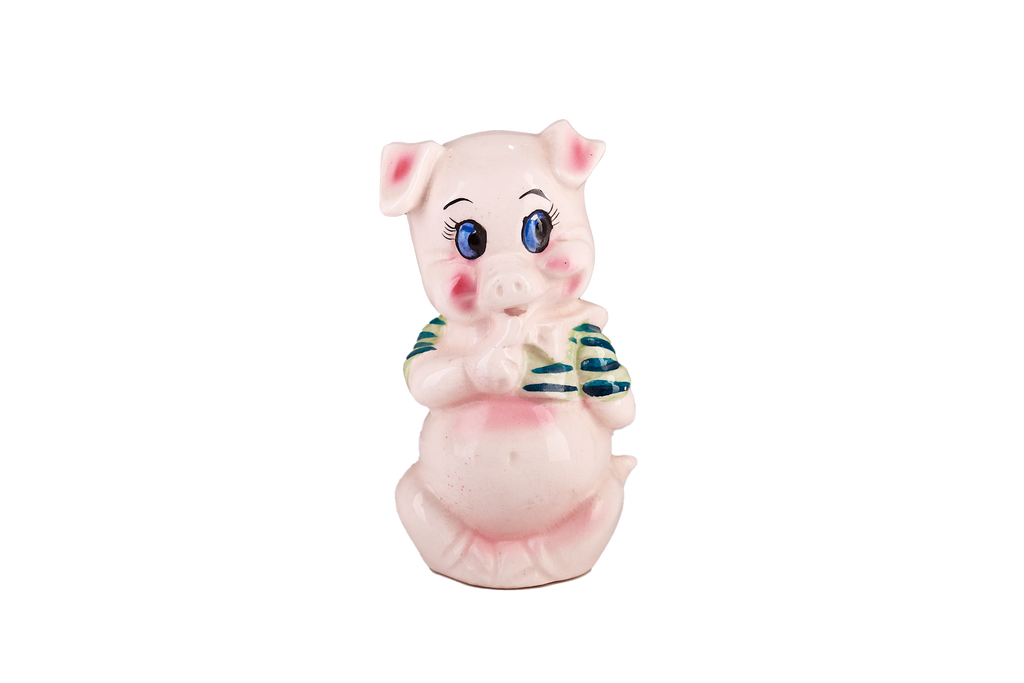 Ceramic Piggy