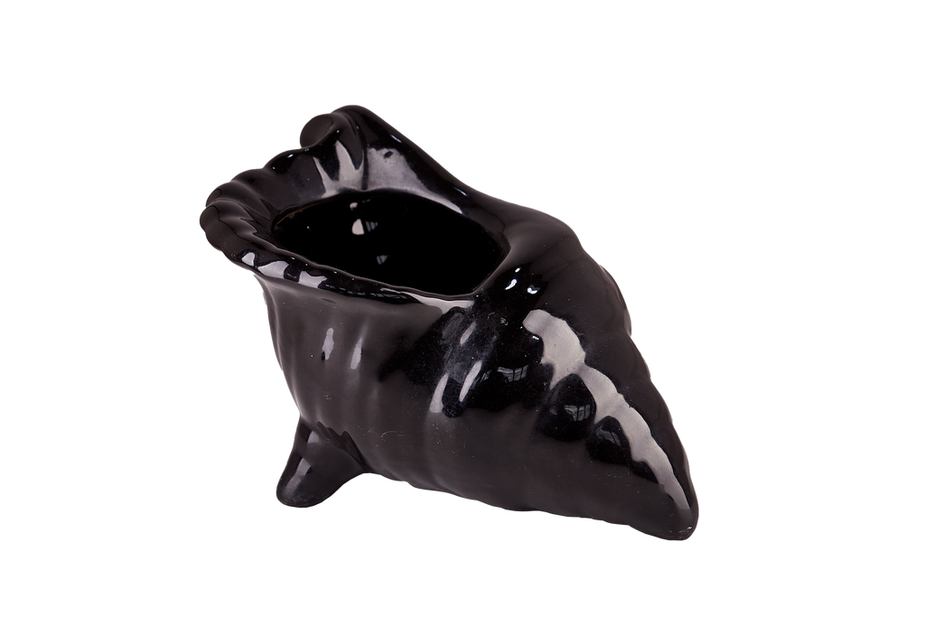 Black Seashell Pot
