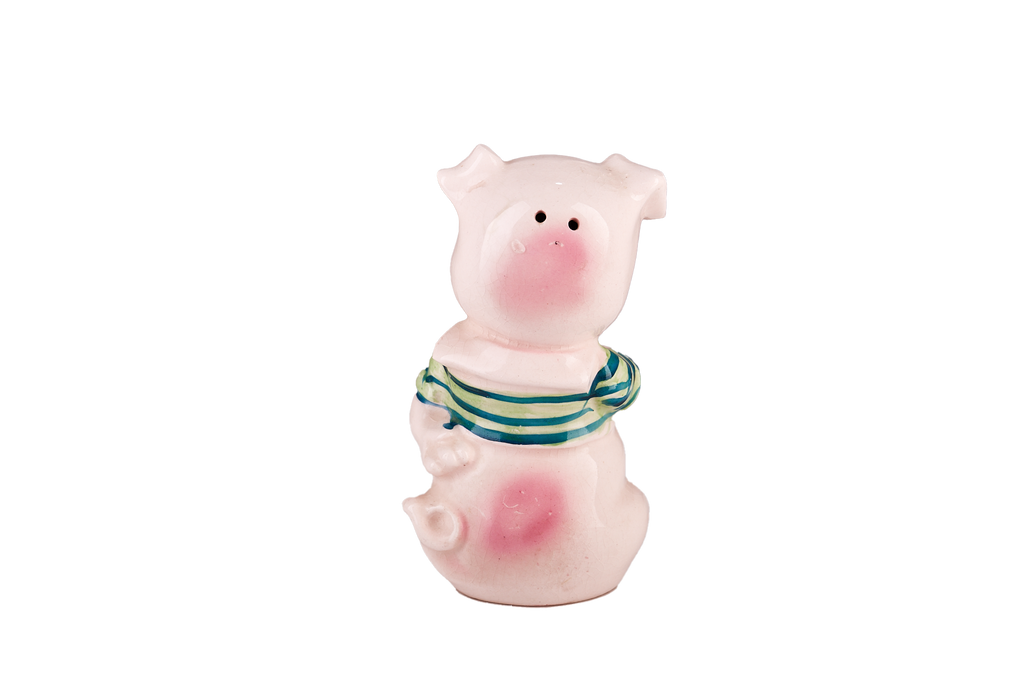 Ceramic Piggy