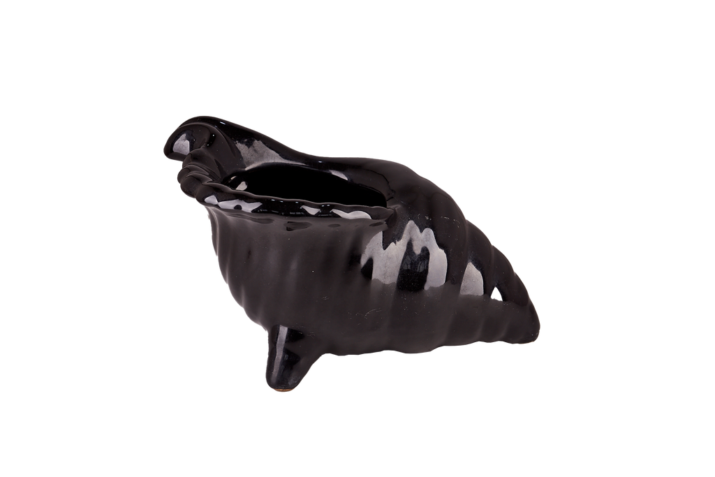 Black Seashell Pot