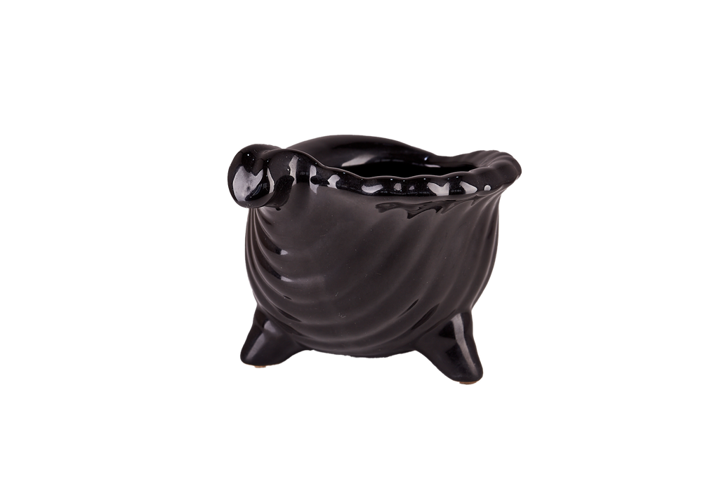 Black Seashell Pot