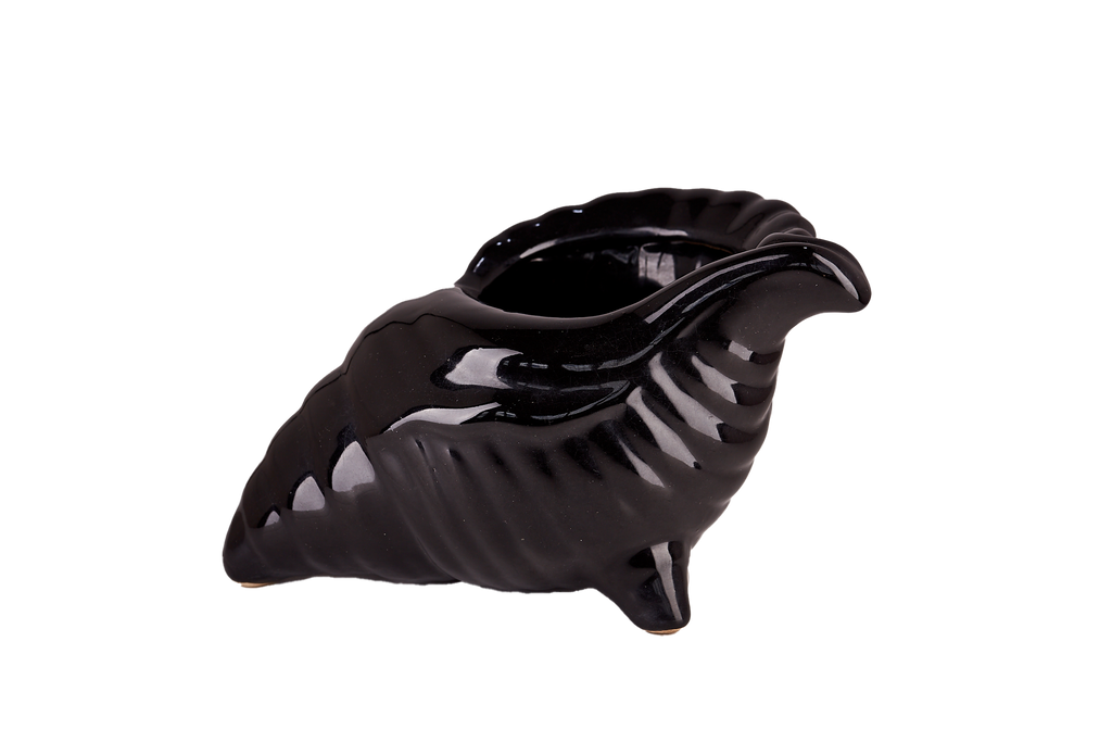 Black Seashell Pot