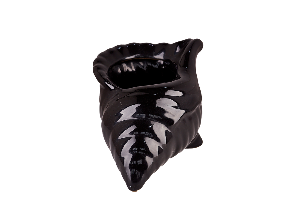 Black Seashell Pot