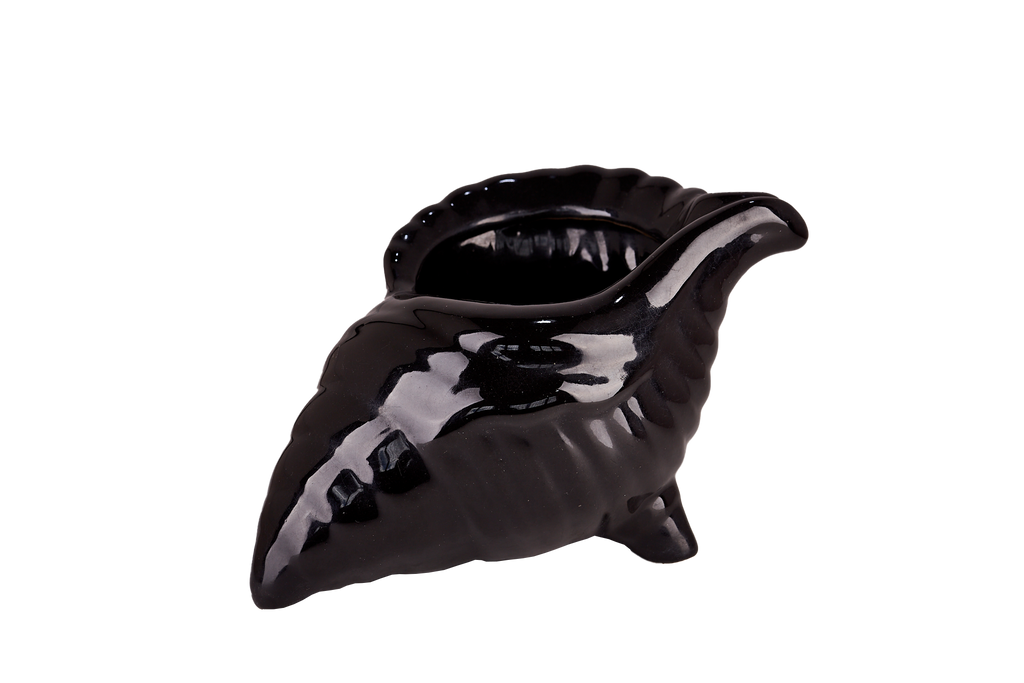 Black Seashell Pot