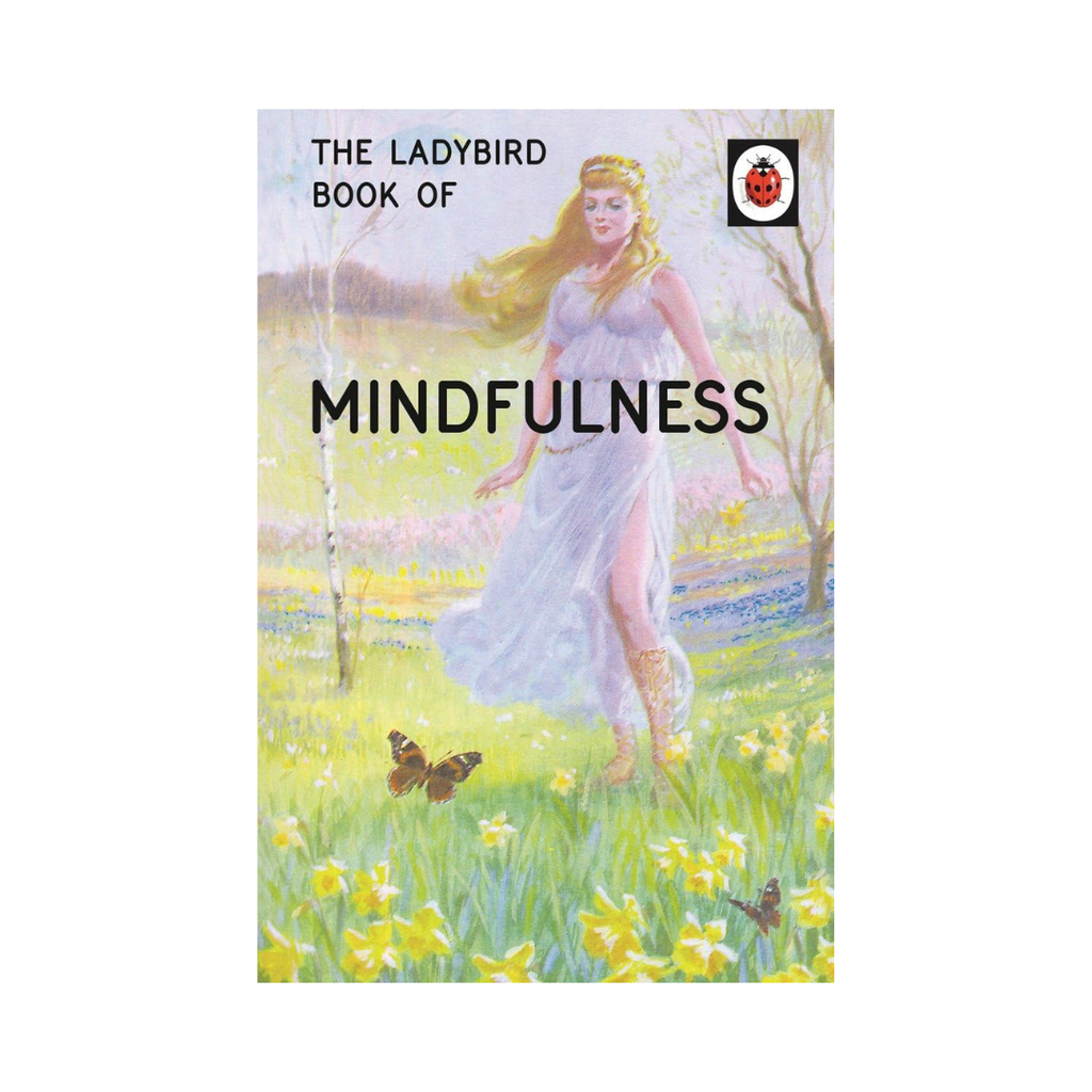 Ladybird book of Mindfulness