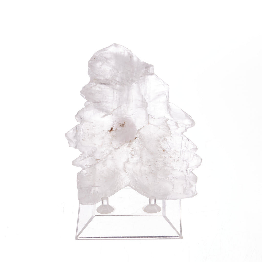 Fishtail Selenite #2