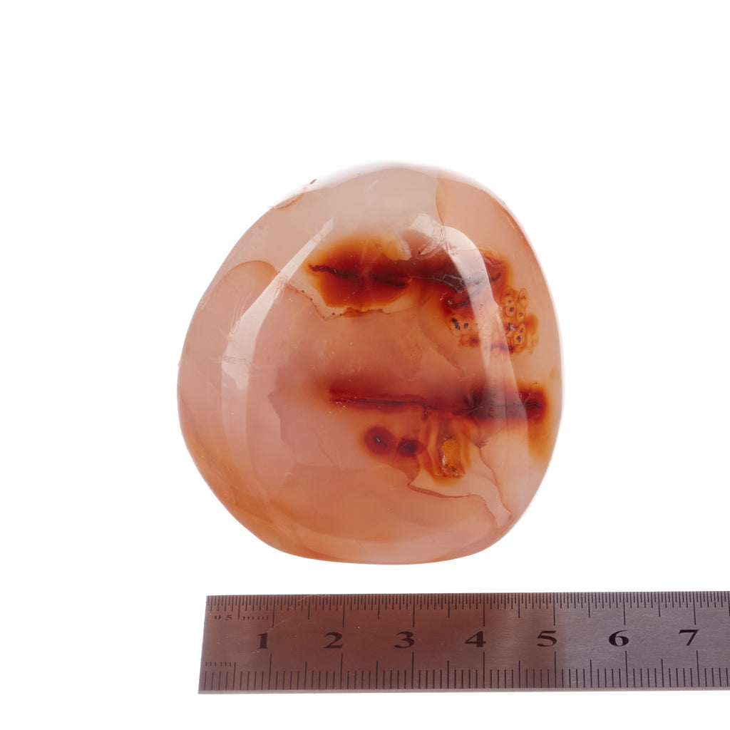 Carnelian Freeform #2