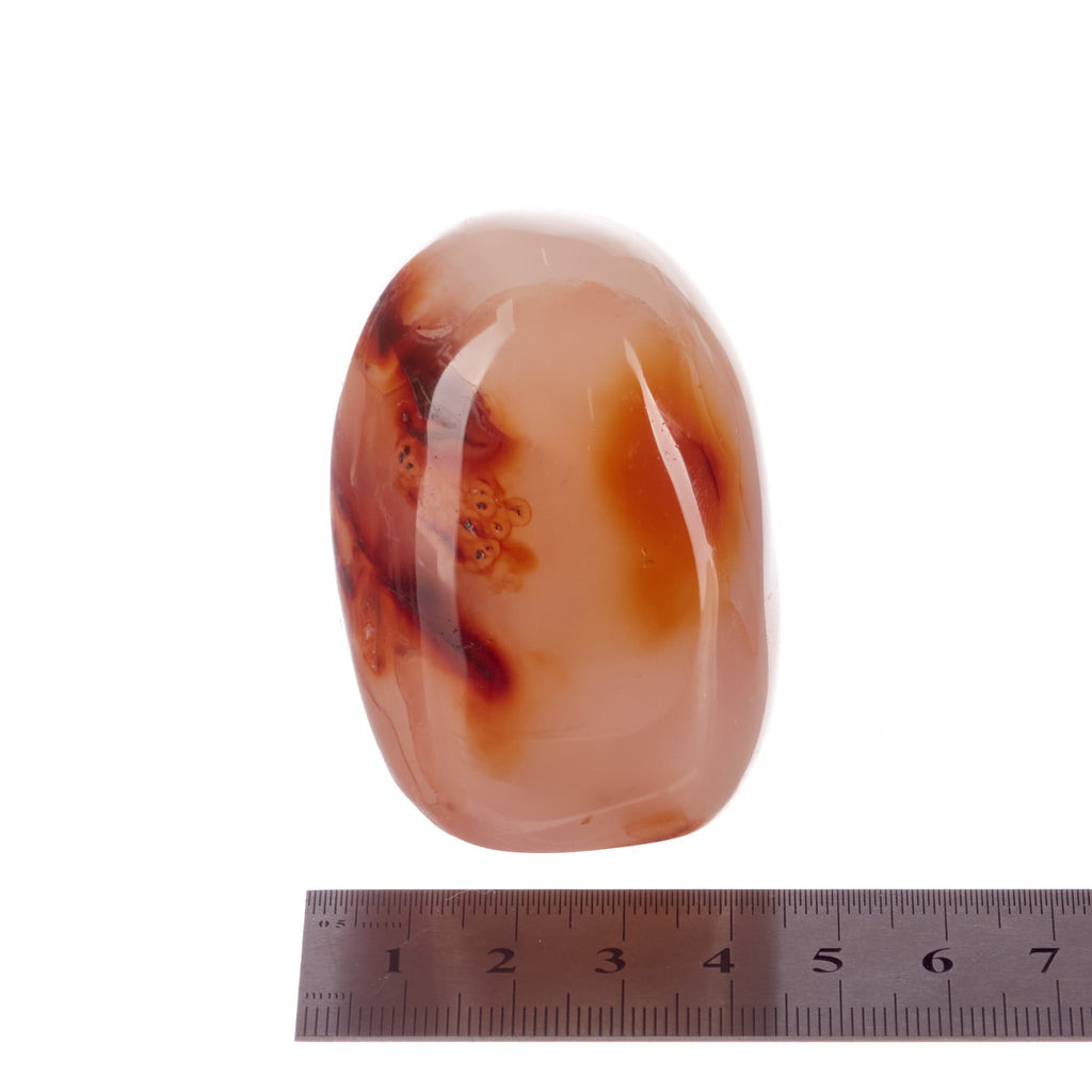 Carnelian Freeform #2