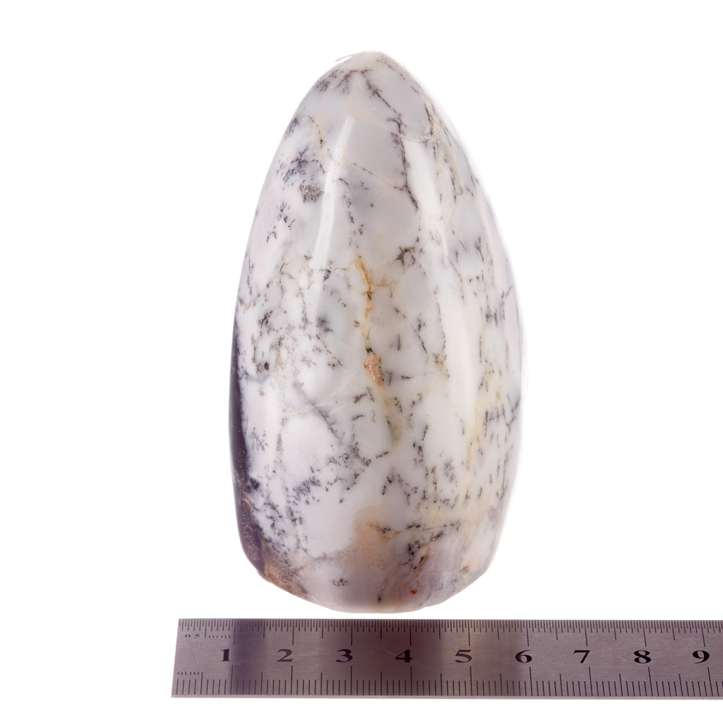 Dendritic Agate Freeform #1