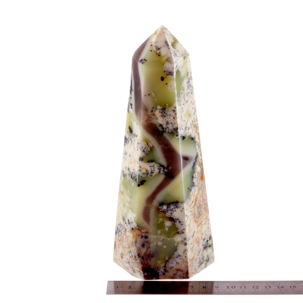 Dendritic Agate Point #1