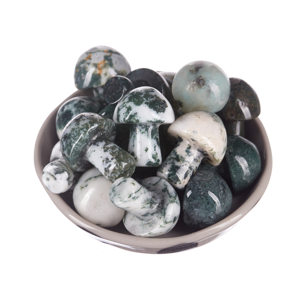 Moss Agate Mushroom | Crystals