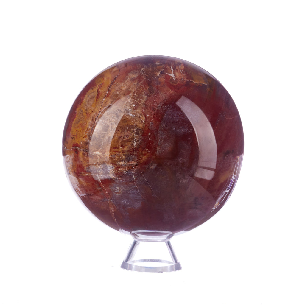 Petrified Wood Sphere | Crystals