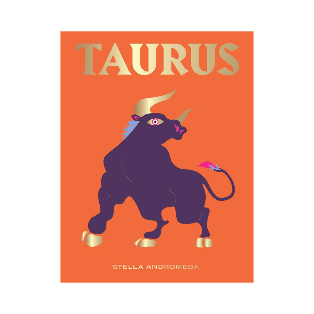 Seeing Stars // Taurus Zodiac Book | Books