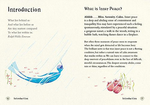 The Little Book of Inner Peace // by Ashley Davis Bush | Books