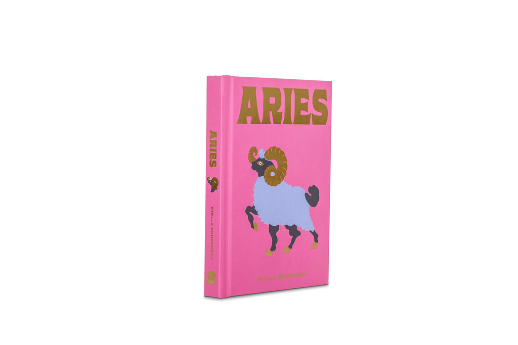 Seeing Stars // Aries Zodiac Book | Books