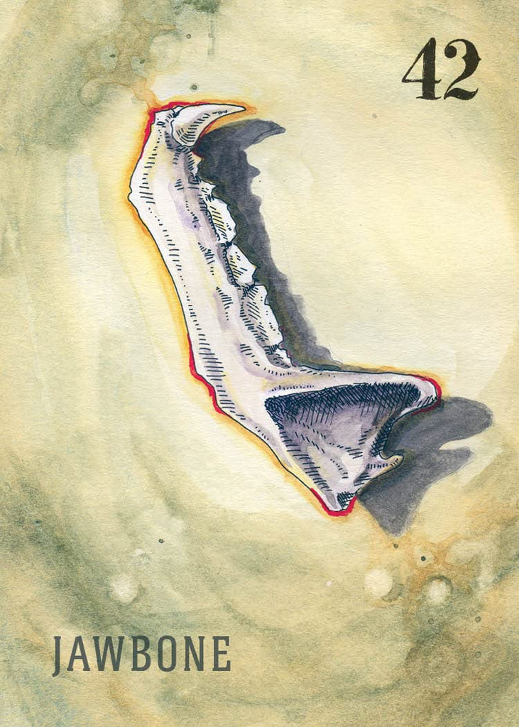 Between the Worlds: Shadowcasting with Bone and Curio Oracle Cards