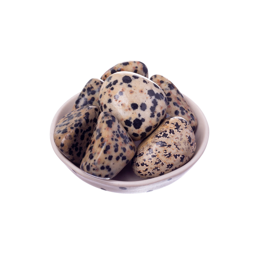 Dalmatian Jasper Tumbled | Tumbled Stones