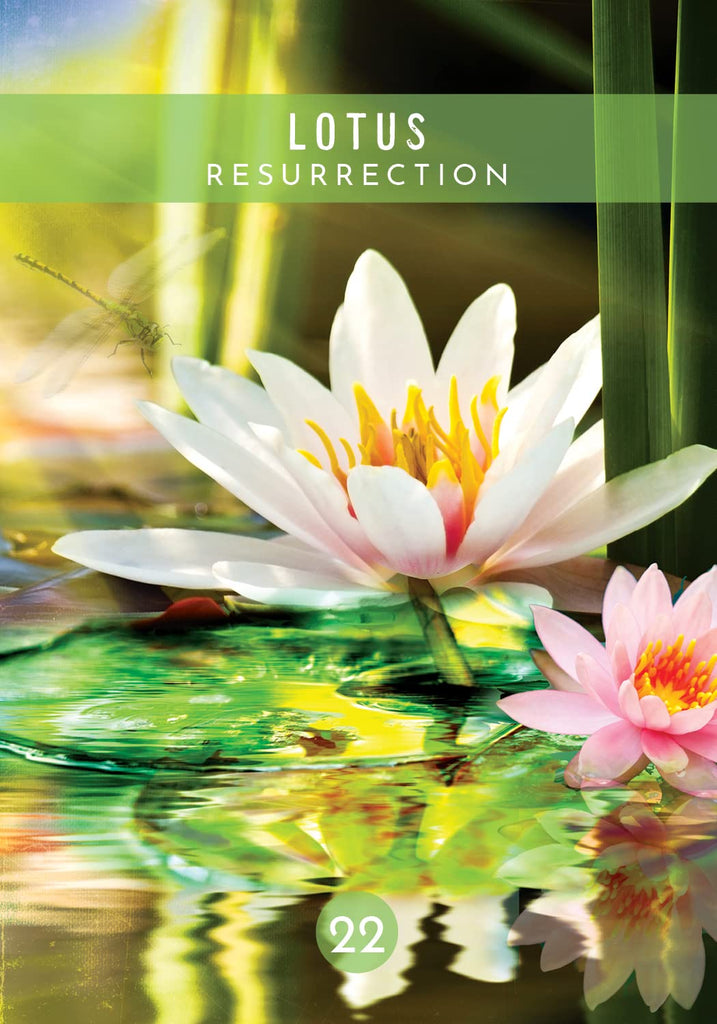 Messages From the Spirits of Nature Oracle